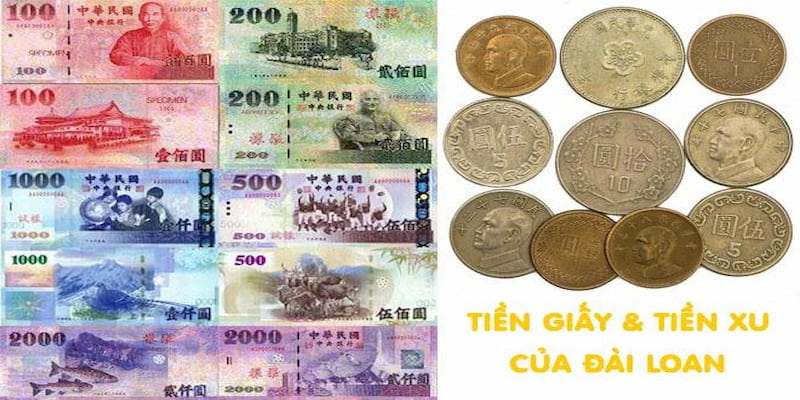 Mệnh giá tiền Đài Loan dạng giấy và xu